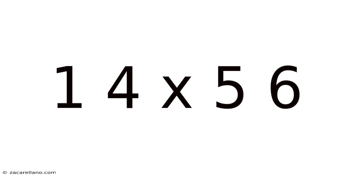 1 4 X 5 6