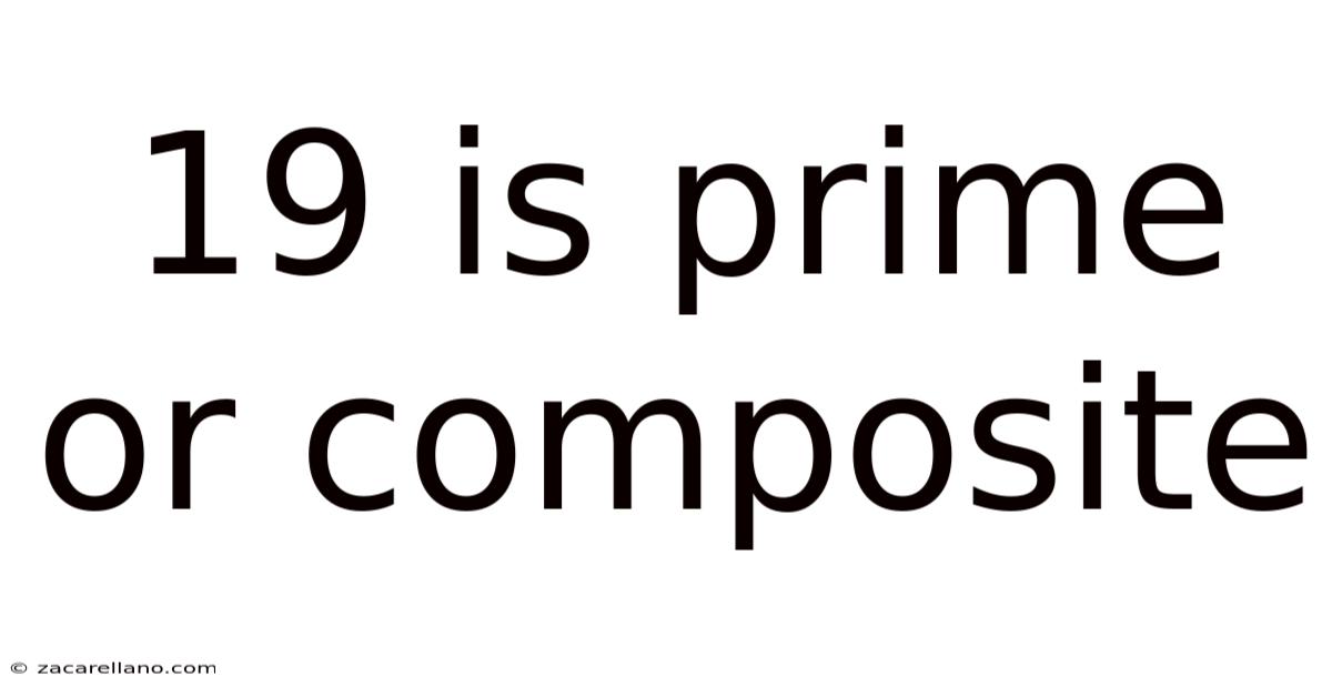 19 Is Prime Or Composite