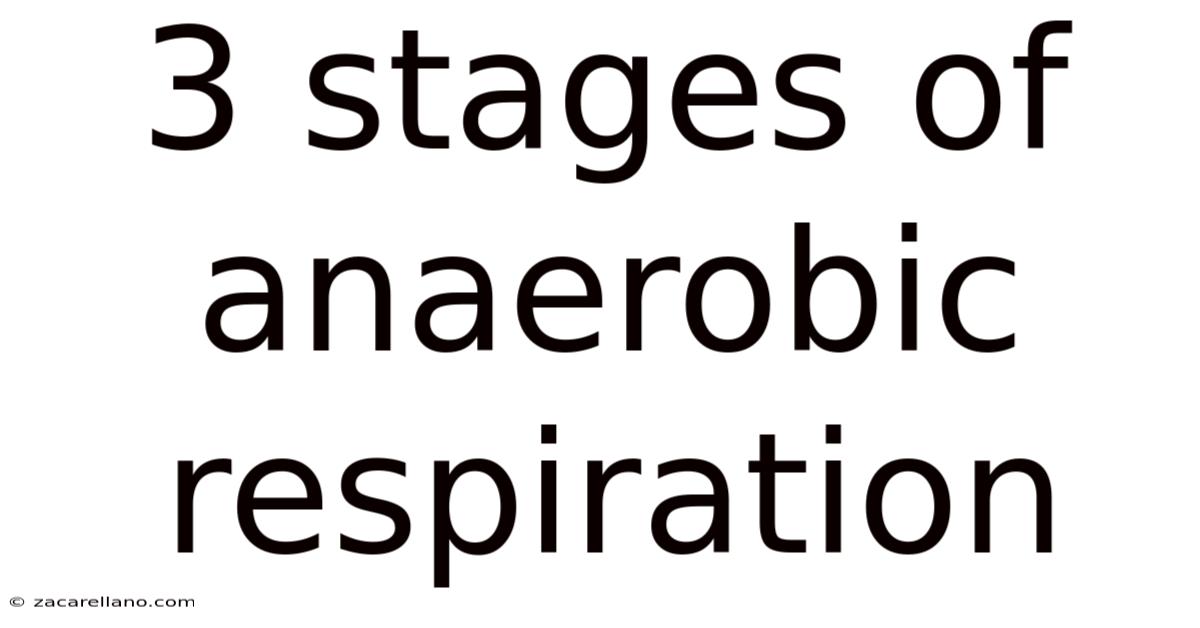 3 Stages Of Anaerobic Respiration