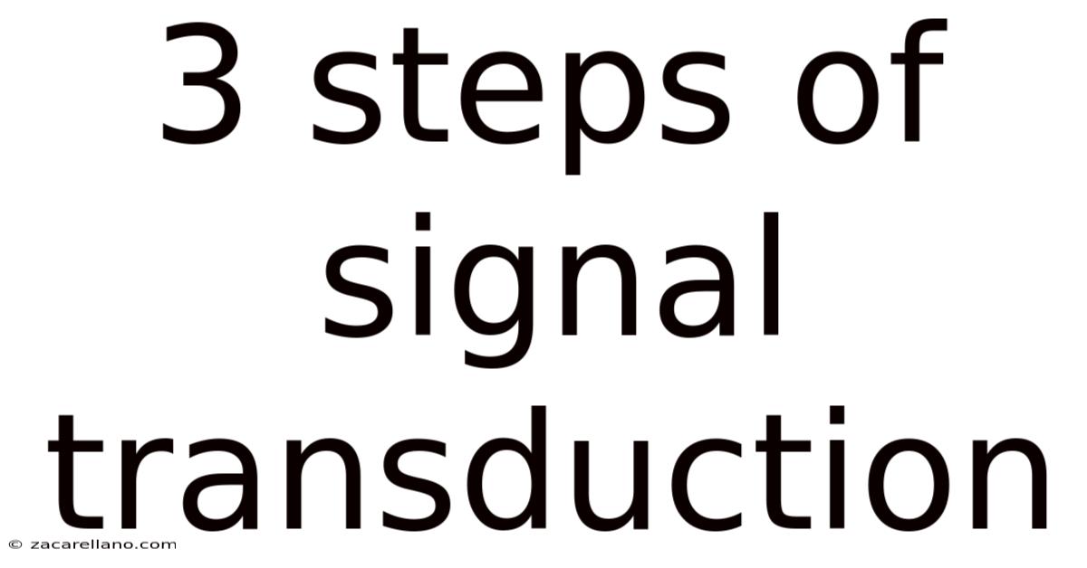 3 Steps Of Signal Transduction