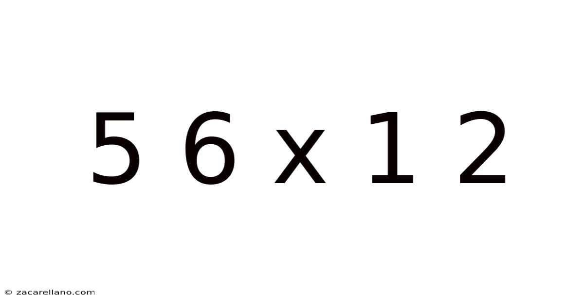 5 6 X 1 2