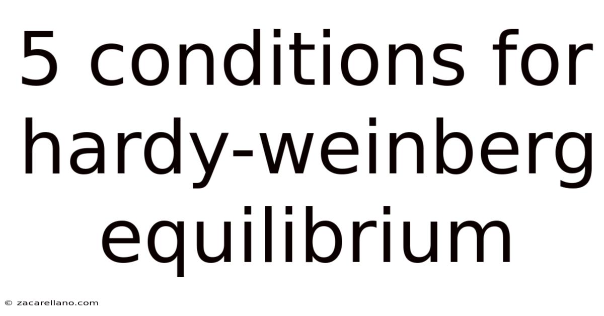 5 Conditions For Hardy-weinberg Equilibrium