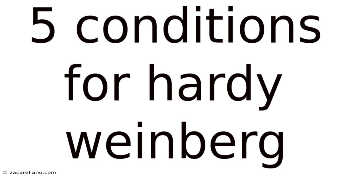5 Conditions For Hardy Weinberg
