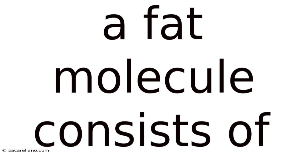 A Fat Molecule Consists Of