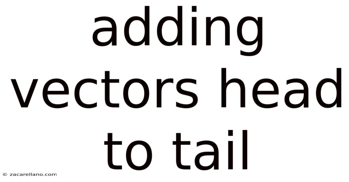 Adding Vectors Head To Tail