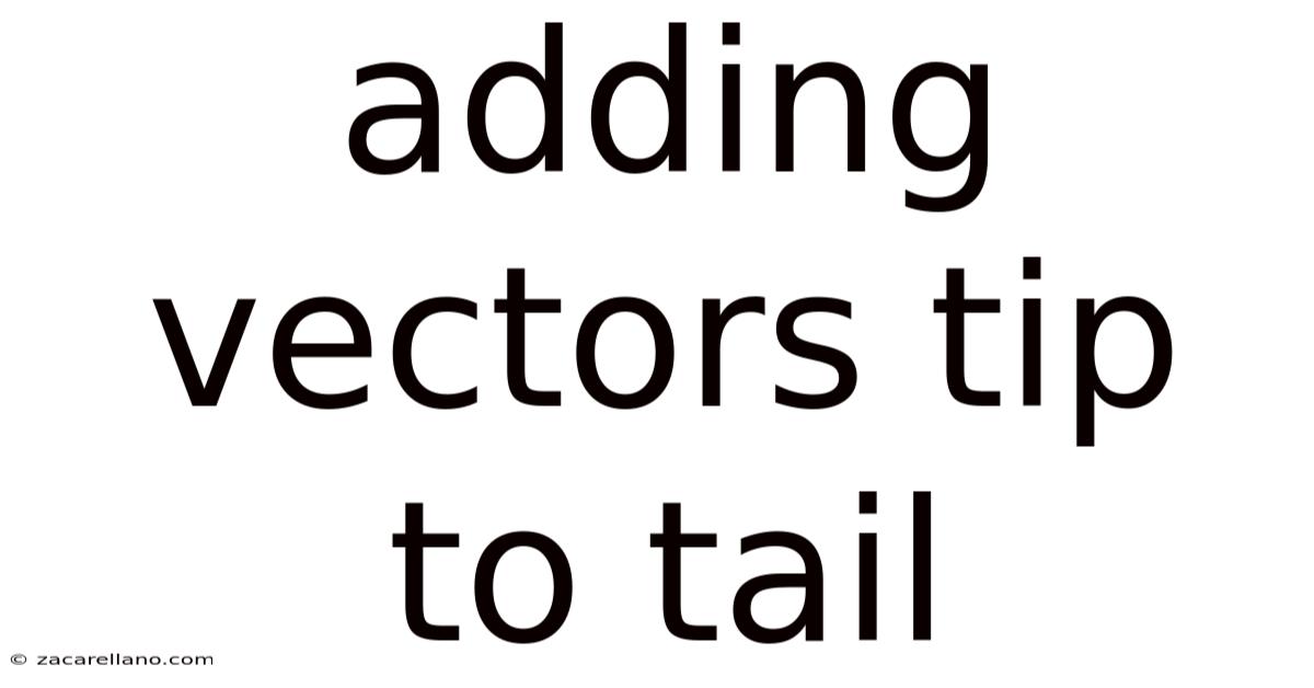 Adding Vectors Tip To Tail