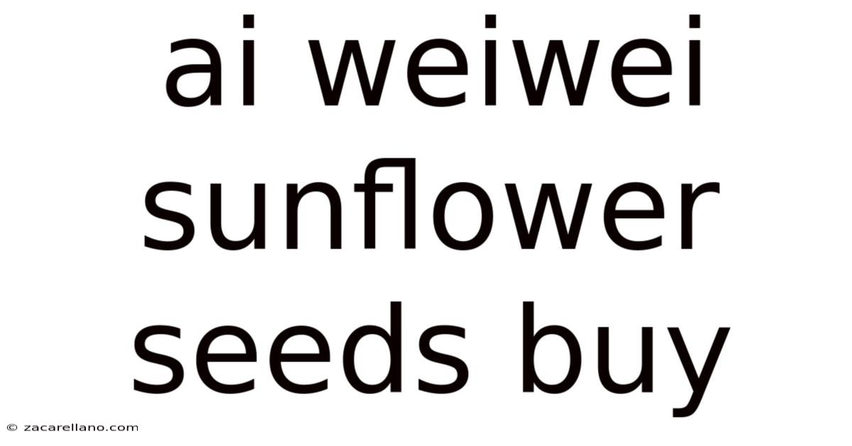 Ai Weiwei Sunflower Seeds Buy