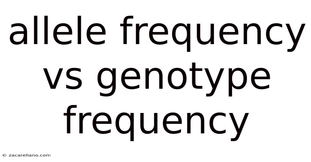 Allele Frequency Vs Genotype Frequency