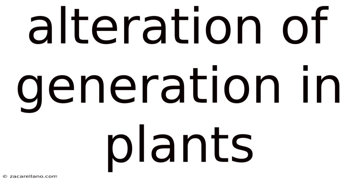 Alteration Of Generation In Plants