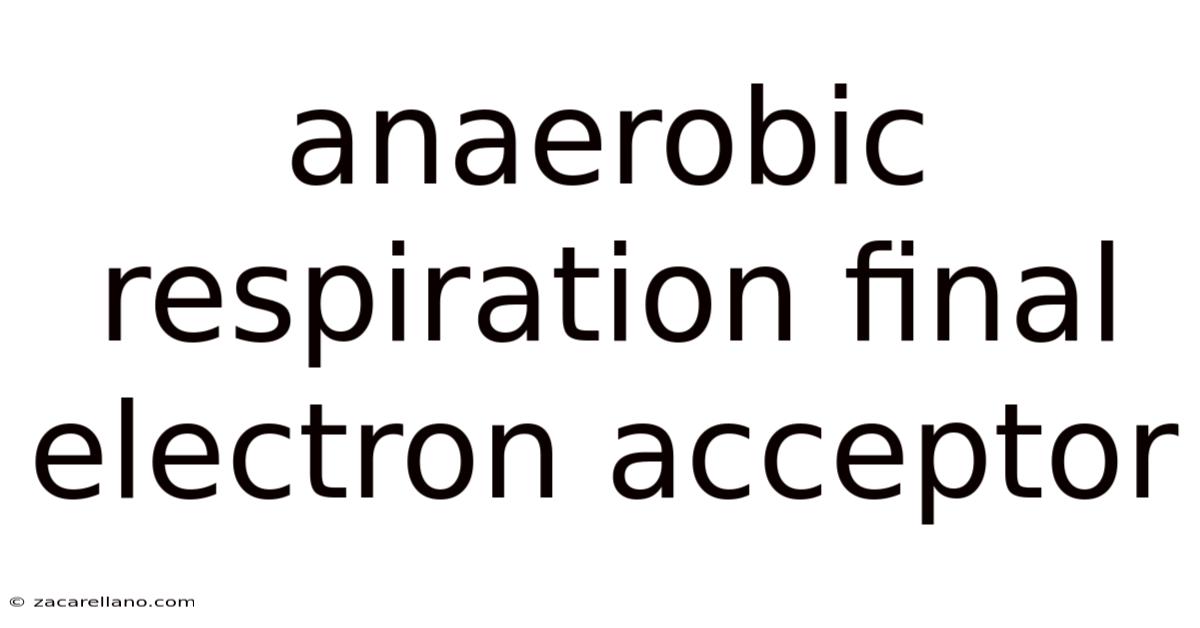 Anaerobic Respiration Final Electron Acceptor