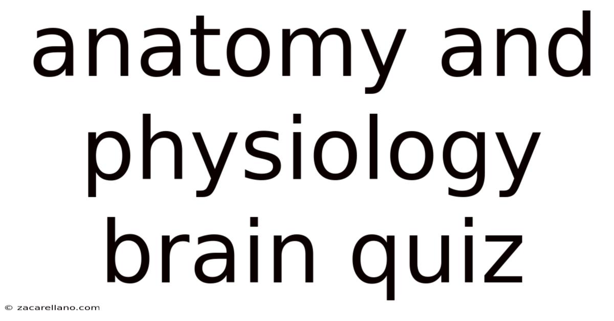 Anatomy And Physiology Brain Quiz