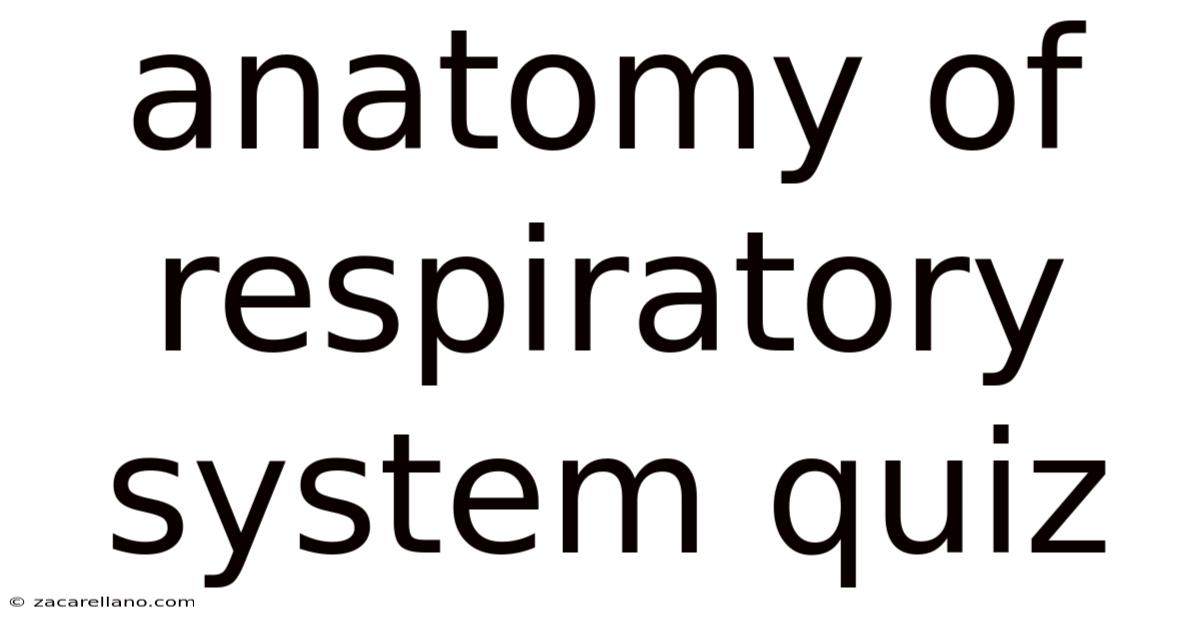 Anatomy Of Respiratory System Quiz