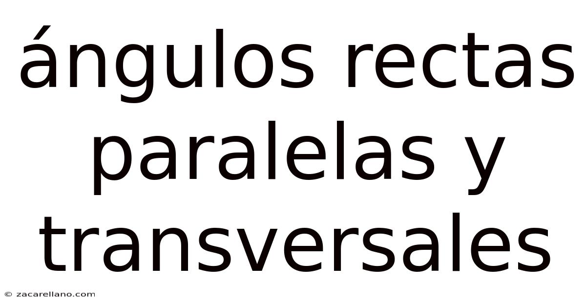 Ángulos Rectas Paralelas Y Transversales
