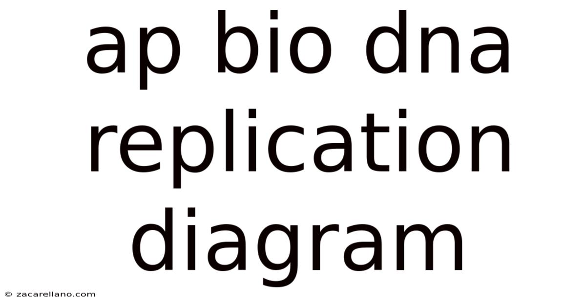 Ap Bio Dna Replication Diagram