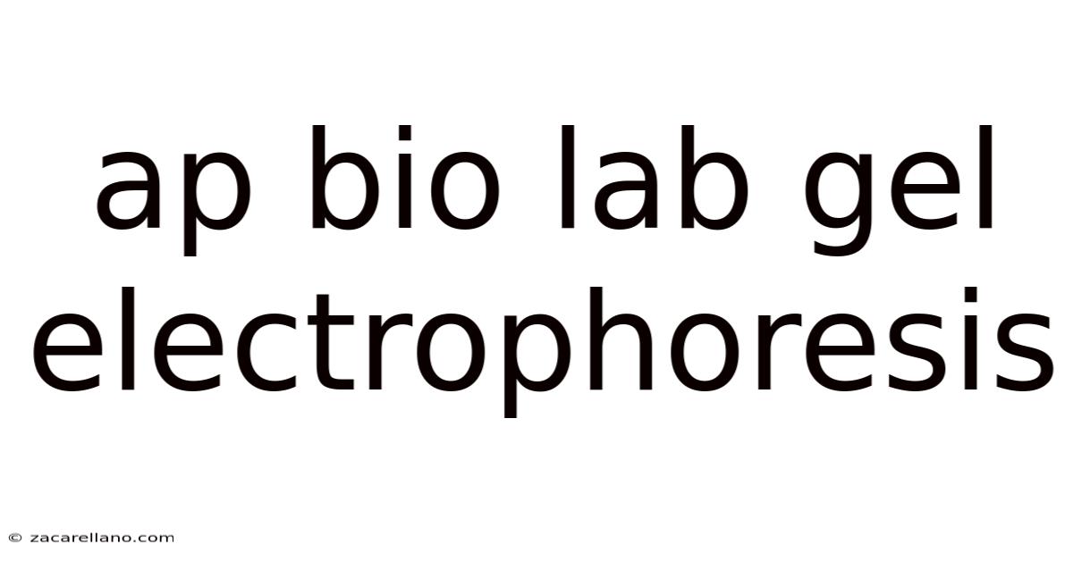 Ap Bio Lab Gel Electrophoresis