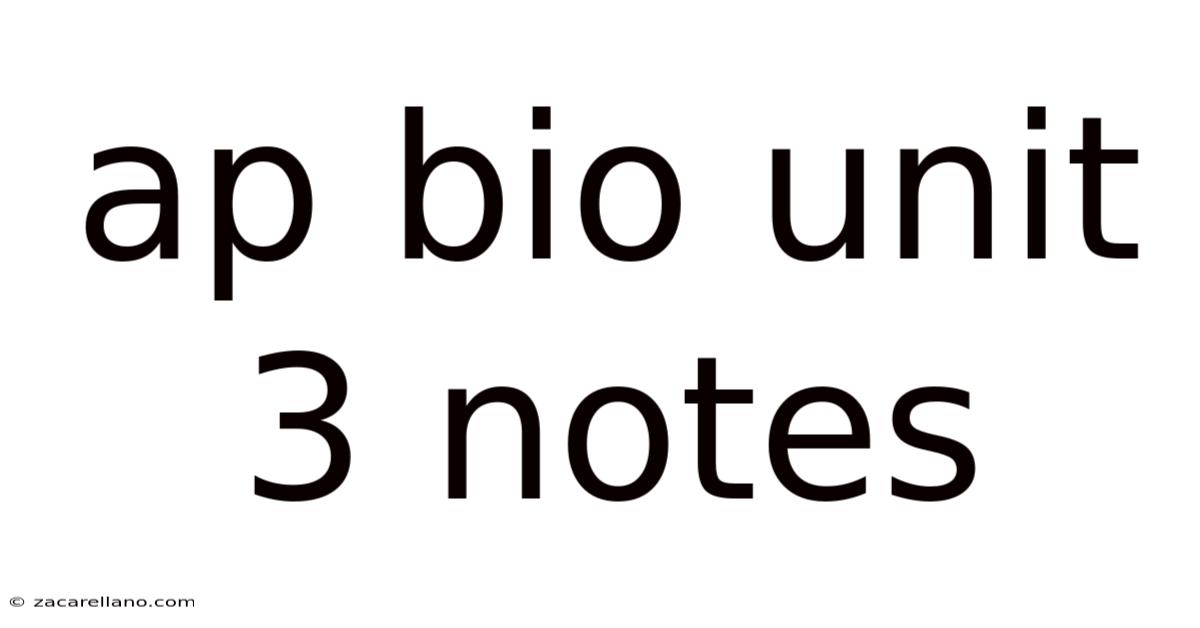Ap Bio Unit 3 Notes