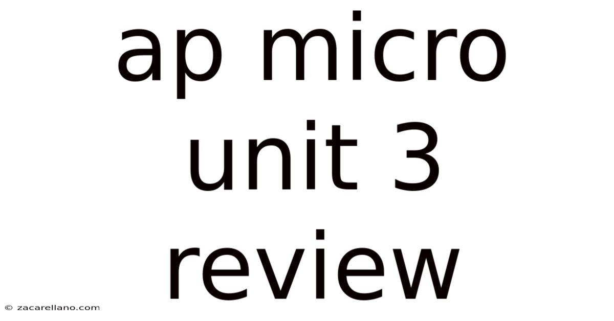 Ap Micro Unit 3 Review