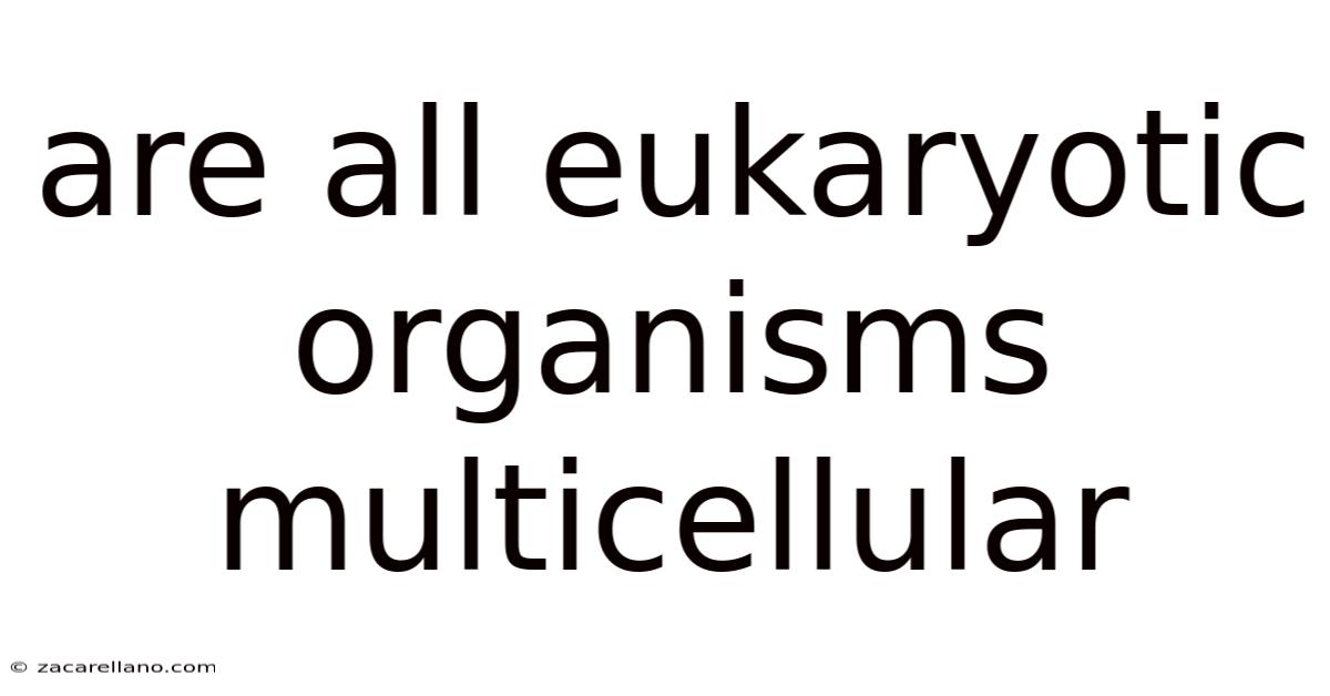 Are All Eukaryotic Organisms Multicellular