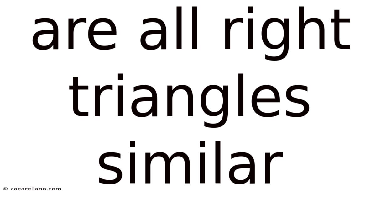 Are All Right Triangles Similar