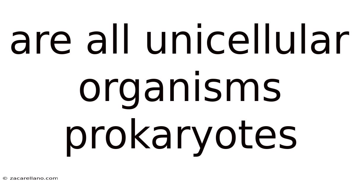 Are All Unicellular Organisms Prokaryotes