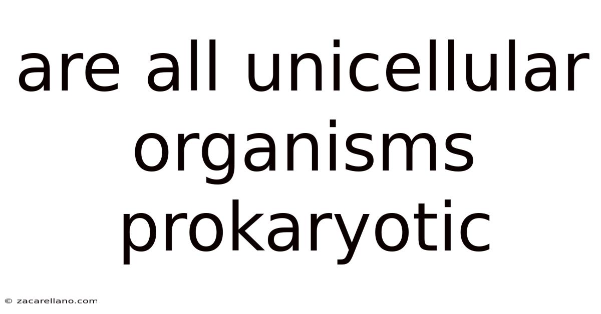Are All Unicellular Organisms Prokaryotic