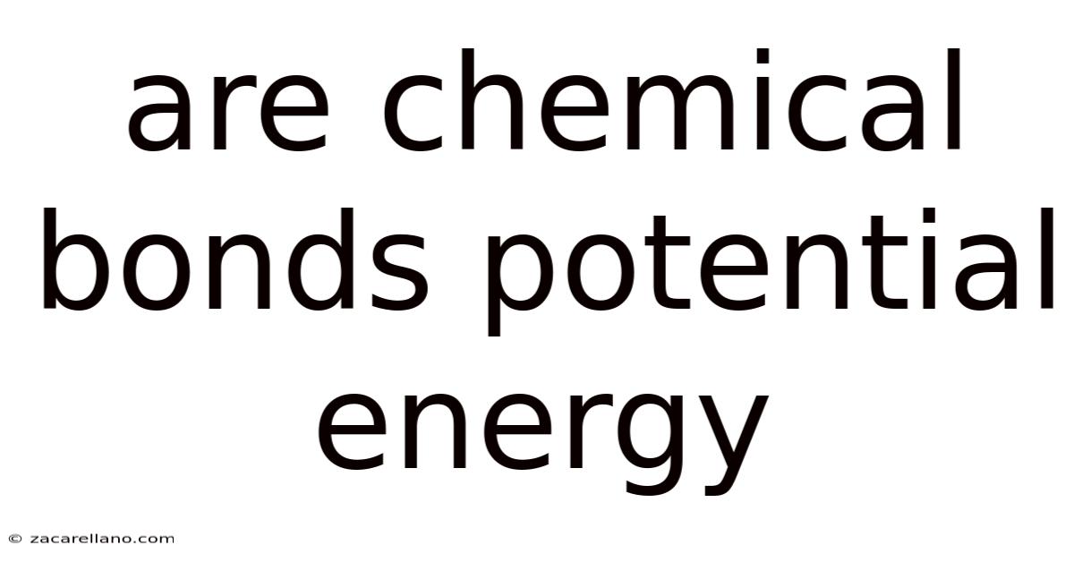 Are Chemical Bonds Potential Energy