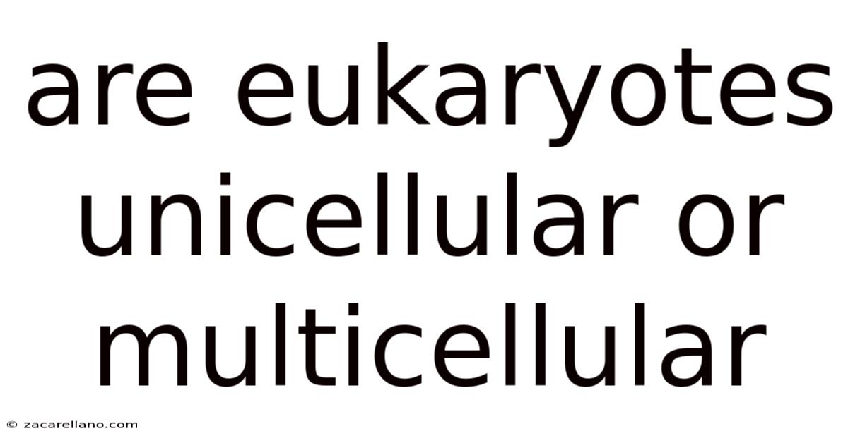 Are Eukaryotes Unicellular Or Multicellular