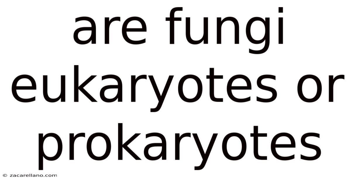 Are Fungi Eukaryotes Or Prokaryotes
