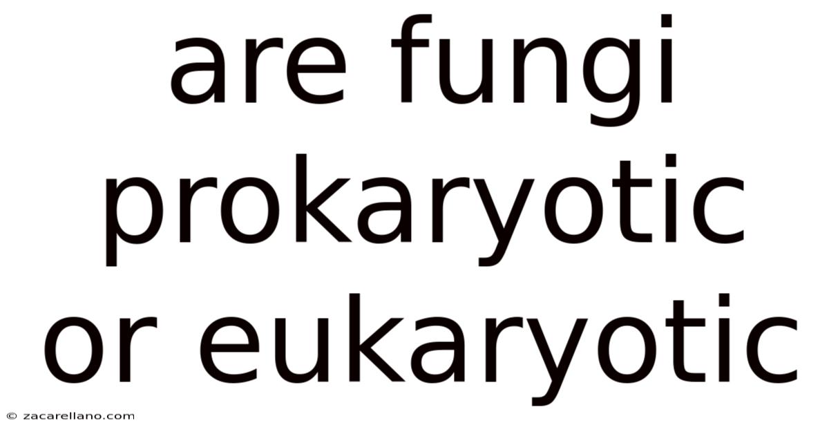 Are Fungi Prokaryotic Or Eukaryotic