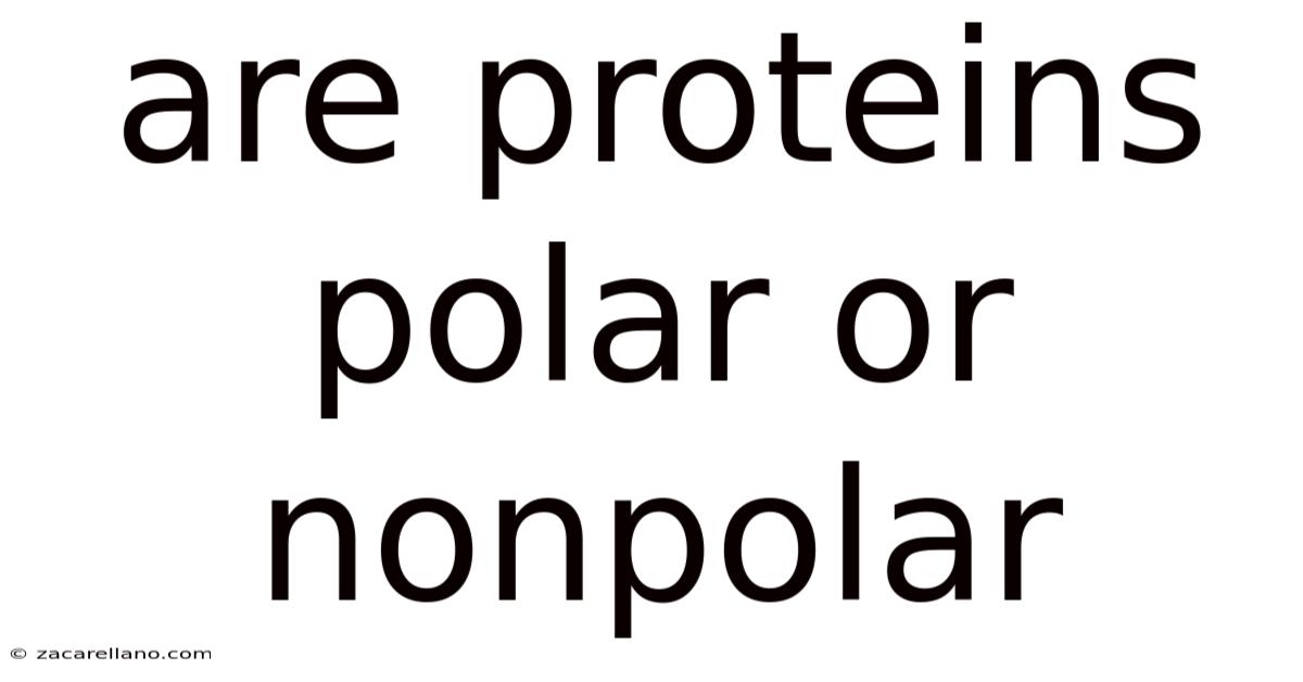 Are Proteins Polar Or Nonpolar