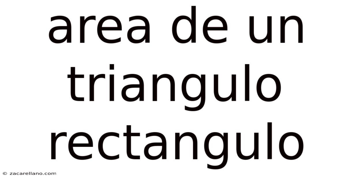 Area De Un Triangulo Rectangulo