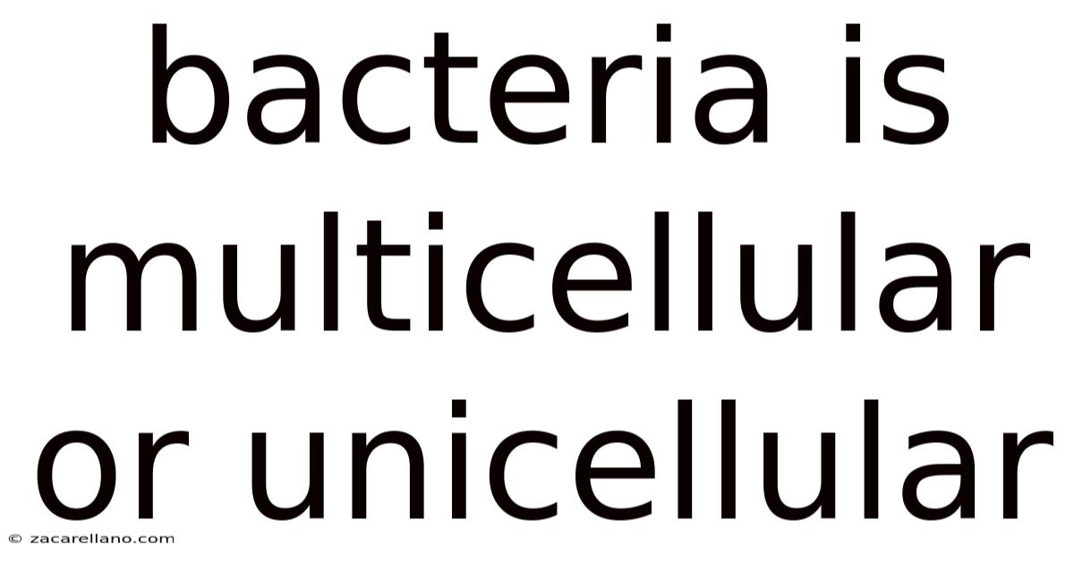 Bacteria Is Multicellular Or Unicellular