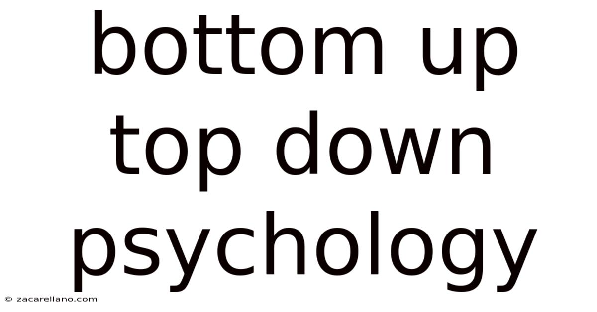Bottom Up Top Down Psychology
