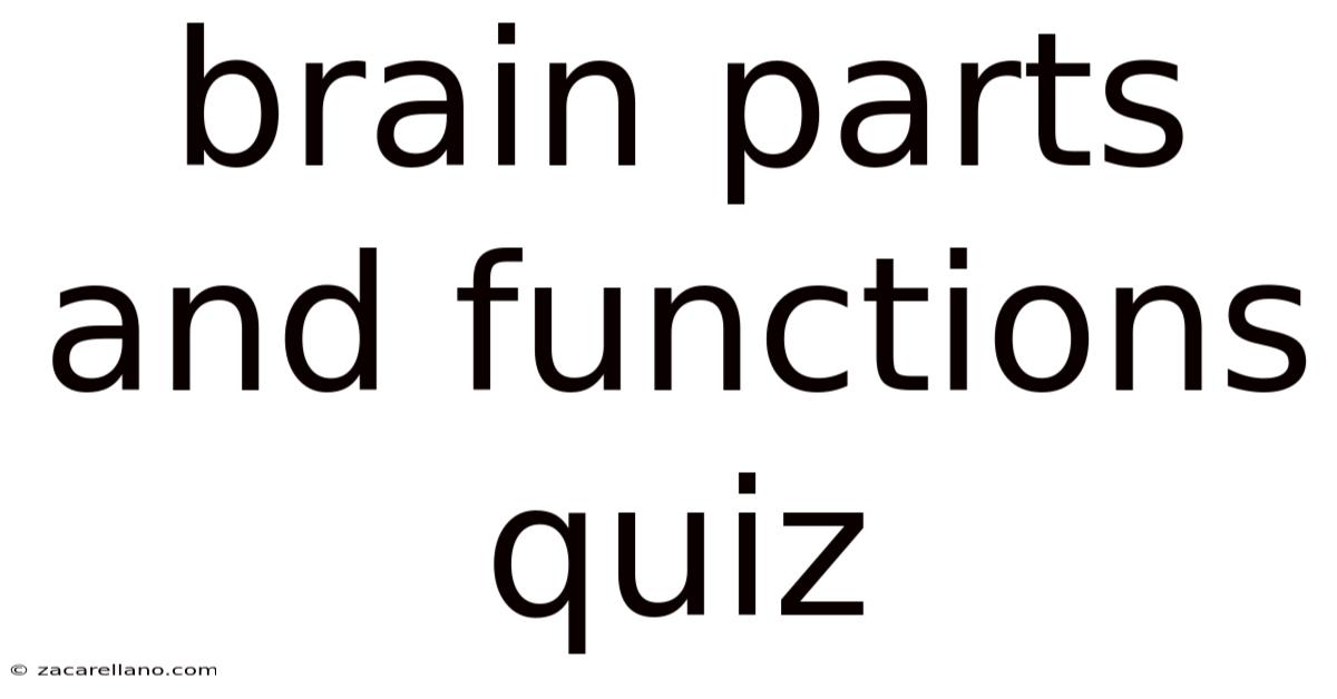 Brain Parts And Functions Quiz