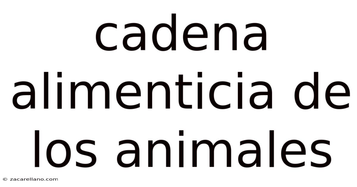 Cadena Alimenticia De Los Animales
