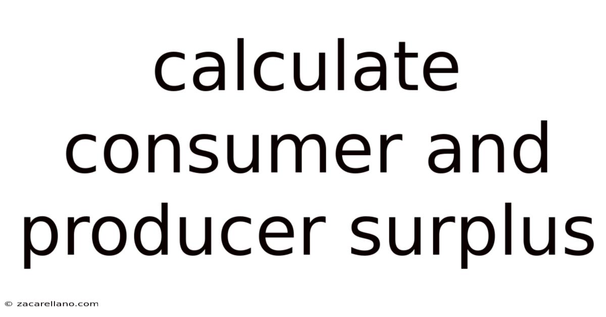 Calculate Consumer And Producer Surplus