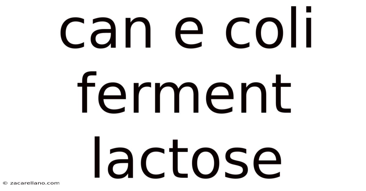 Can E Coli Ferment Lactose