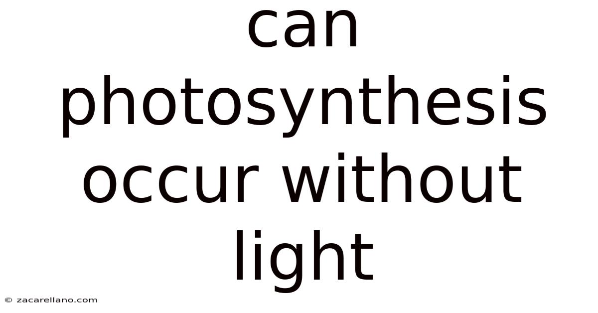 Can Photosynthesis Occur Without Light