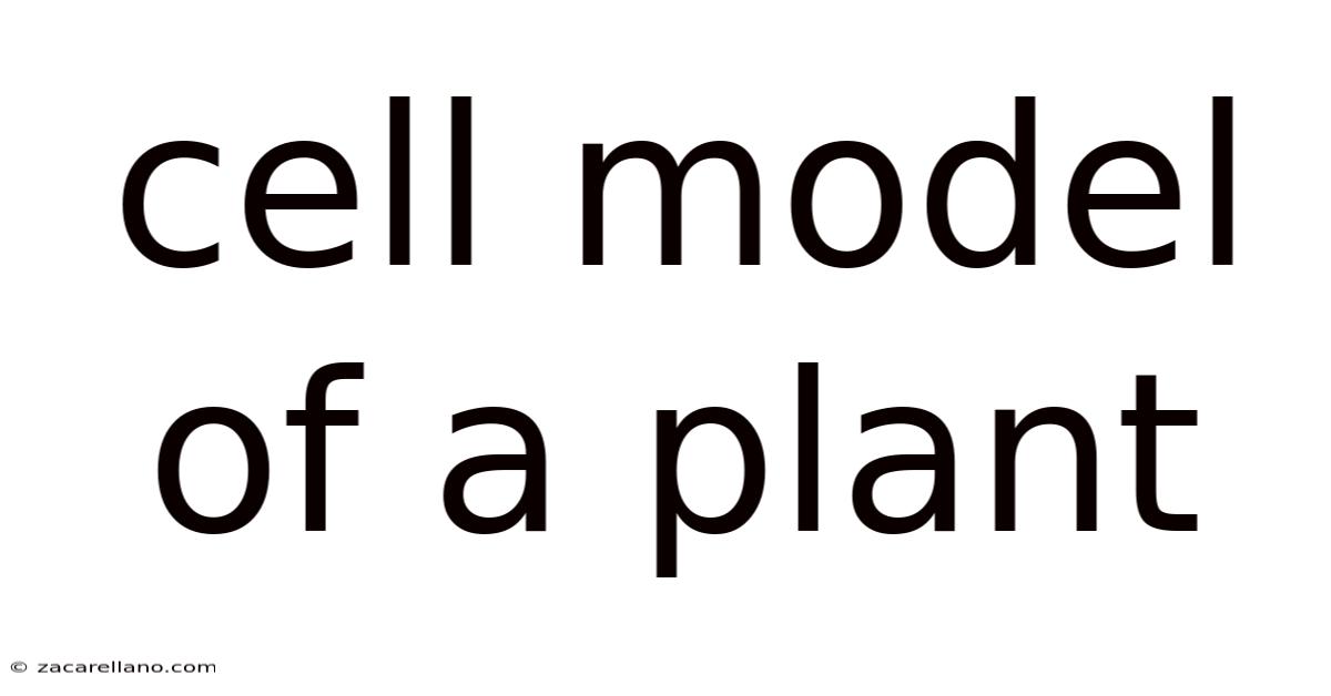 Cell Model Of A Plant