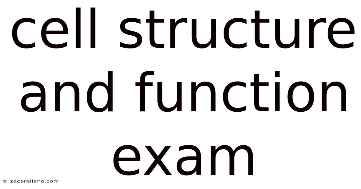 Cell Structure And Function Exam