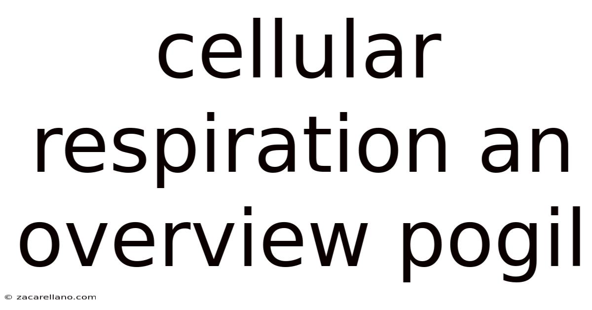 Cellular Respiration An Overview Pogil