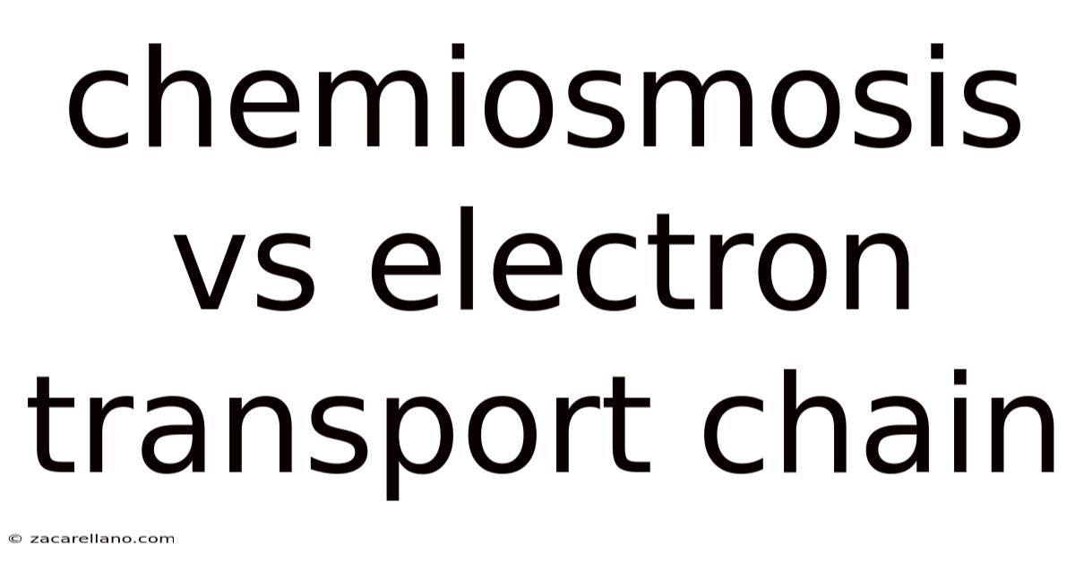 Chemiosmosis Vs Electron Transport Chain