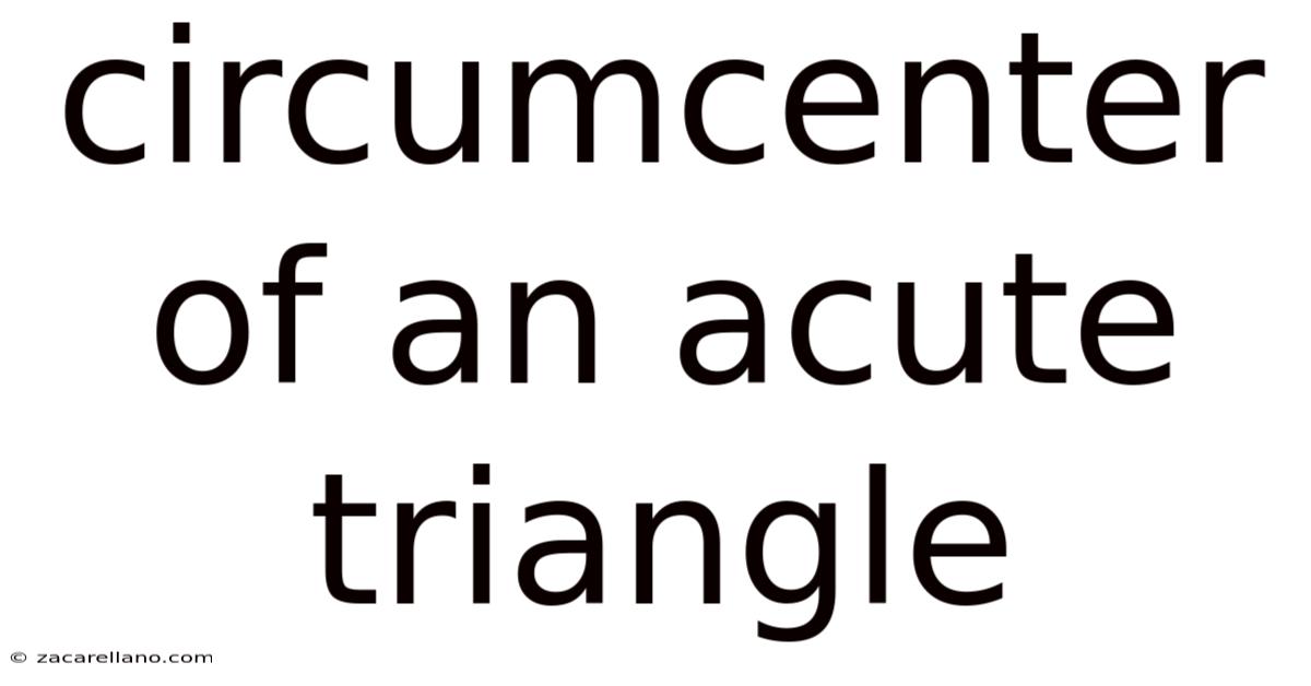 Circumcenter Of An Acute Triangle