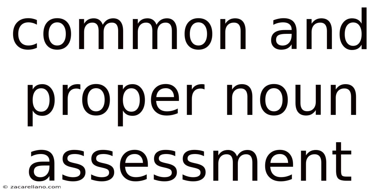 Common And Proper Noun Assessment