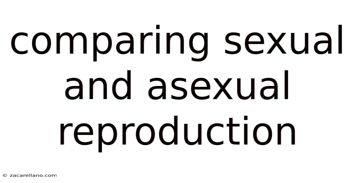 Comparing Sexual And Asexual Reproduction