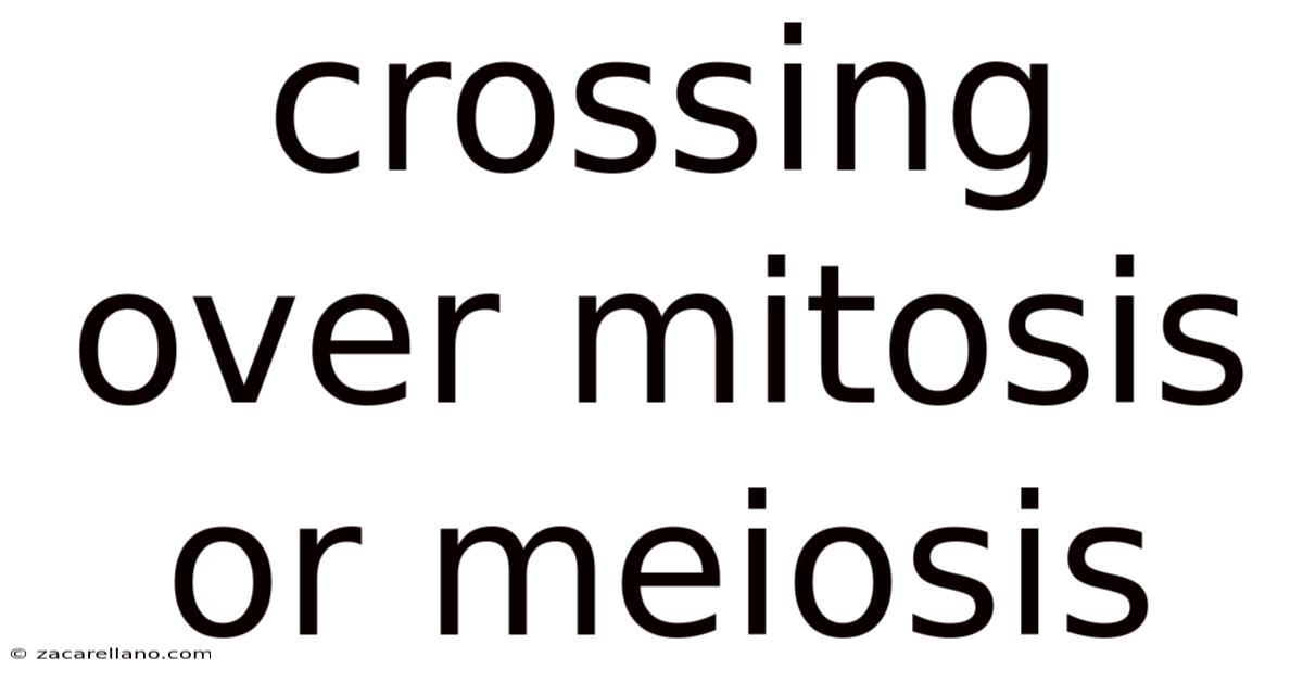 Crossing Over Mitosis Or Meiosis