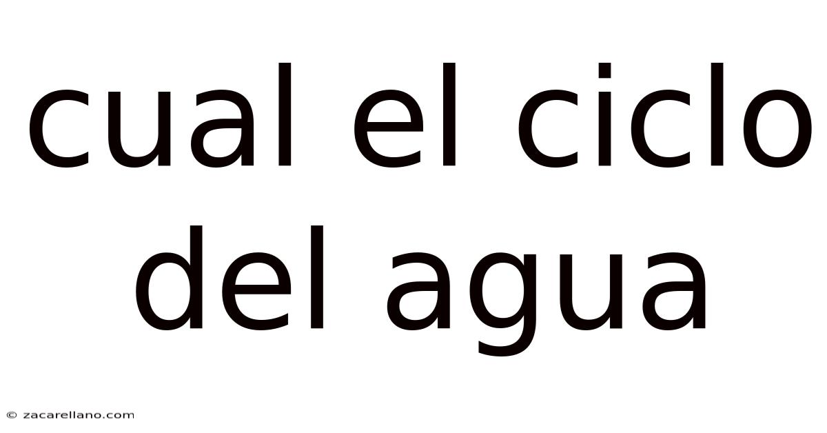 Cual El Ciclo Del Agua