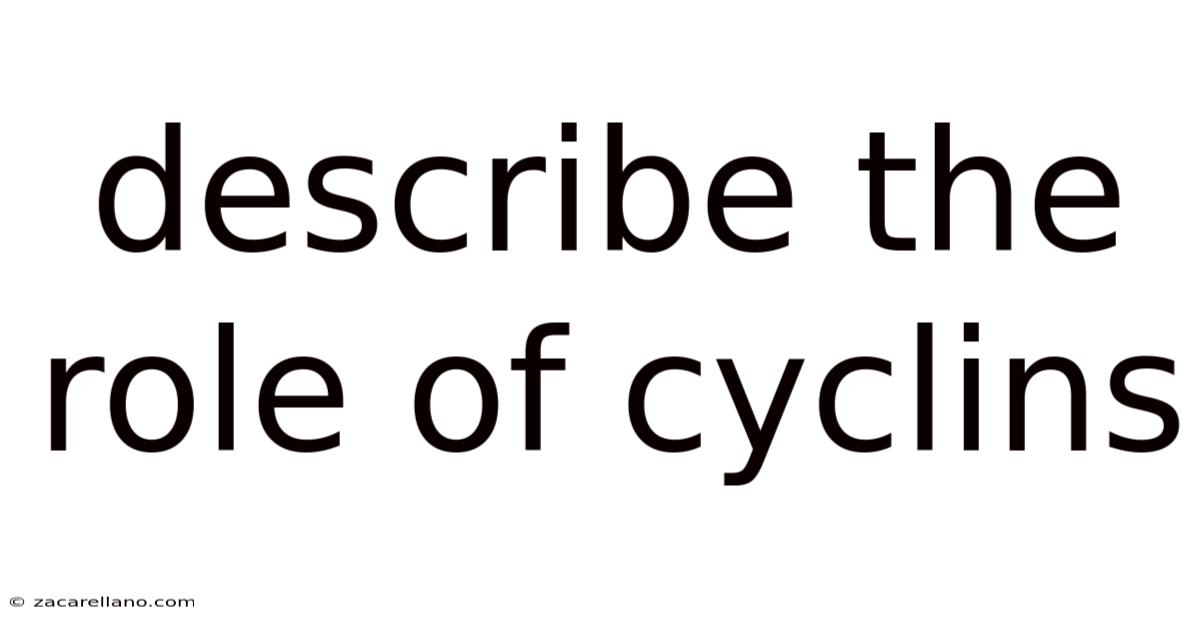 Describe The Role Of Cyclins