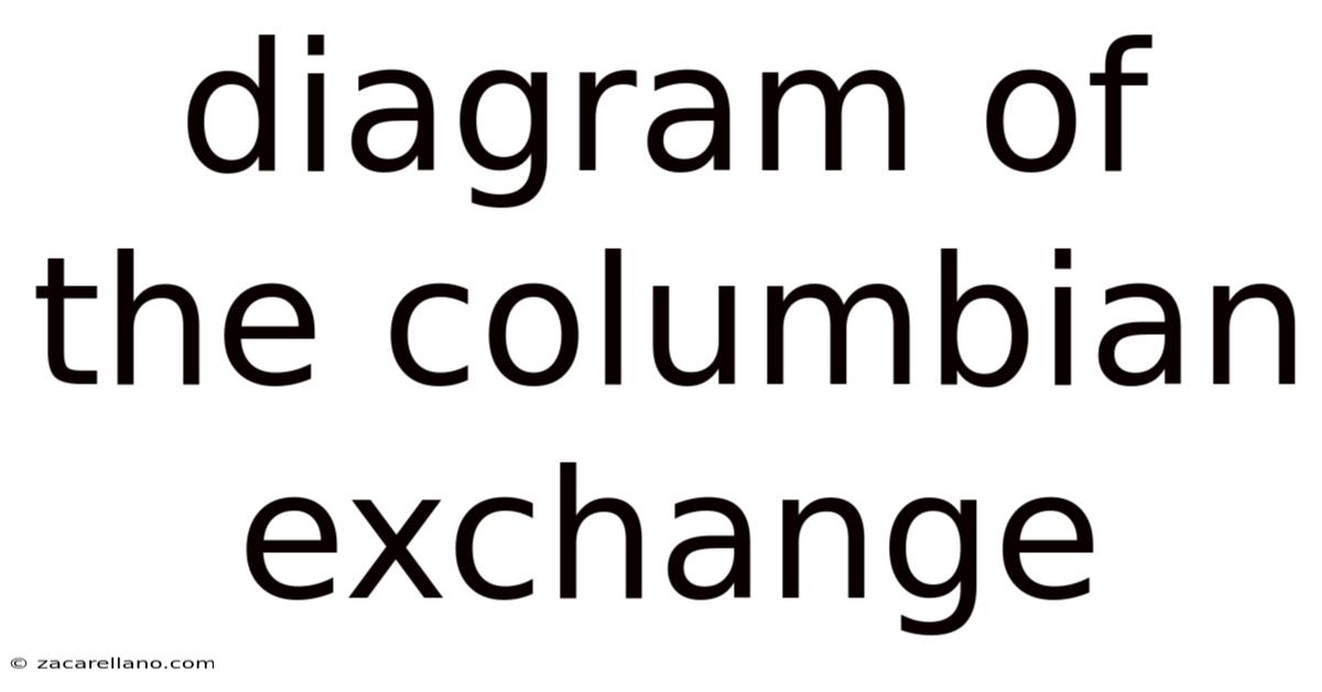 Diagram Of The Columbian Exchange