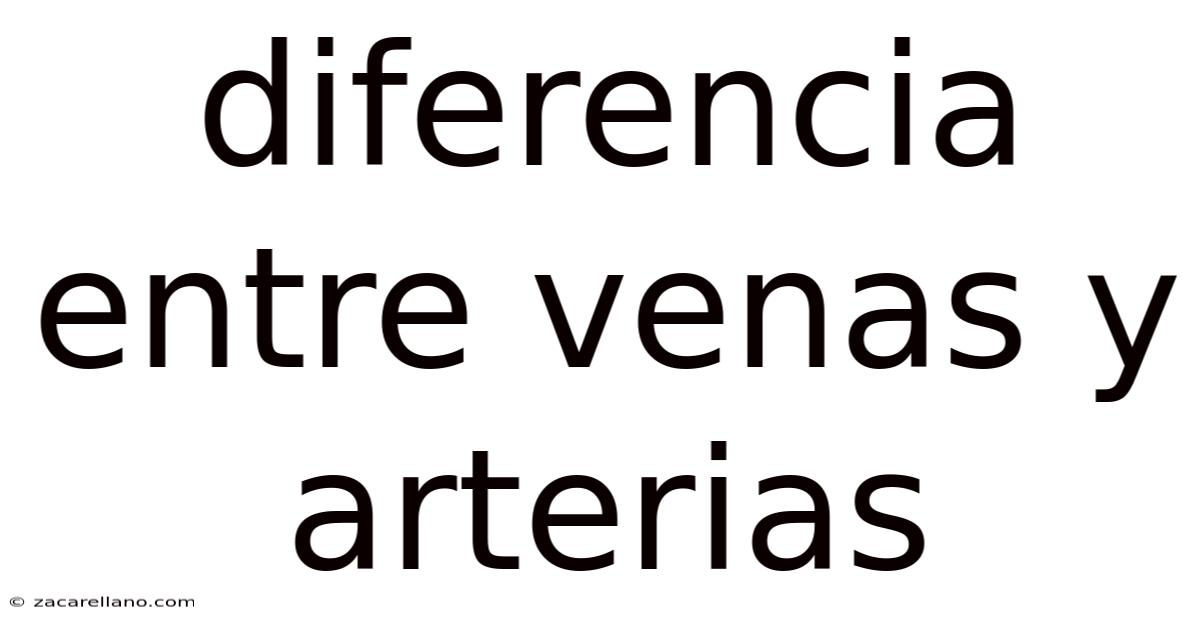 Diferencia Entre Venas Y Arterias